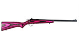 Keystone Crickett .22 LR 16.125