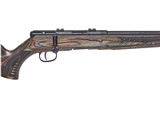 Savage Arms B17 BNS-SR .17 HMR 18