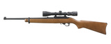 Ruger 10/22 Carbine .22 LR 18.5
