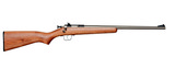 Keystone Crickett .22 LR 16.125