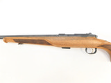 Steyr Arms Zephyr II Bolt Action .22 LR 19.7
