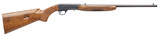 Browning SA-22 Grade I Walnut .22 LR 19.375