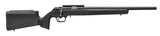 Springfield 2020 Rimfire Target .22 LR 20