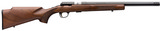 Browning T-Bolt Target .17 HMR 16.5