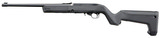 Ruger 10/22 Takedown X-22 Backpacker .22 LR 16.4