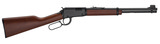 Henry Lever Action .22 Youth 16.125