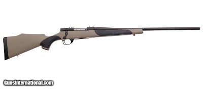 Weatherby Vanguard Synthetic FDE .22-250 Rem 24