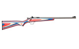 Keystone Crickett .22 LR 16.125