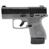 Beretta APX A1 Carry WG 9mm Luger 3