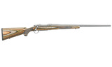 Ruger M77 Hawkeye Predator .204 Ruger 24