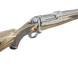 Ruger M77 Hawkeye Predator .204 Ruger 24