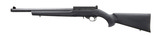 Ruger 10/22 Carbine .22 LR 16.12