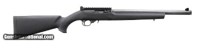 Ruger 10/22 Carbine .22 LR 16.12