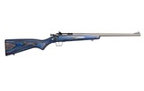 Keystone Crickett .22 LR 16.1