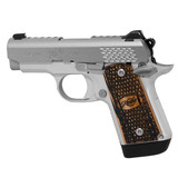 Kimber Micro Raptor Stainless .380 ACP 2.75