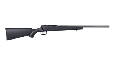 Savage Arms B.MAG .17 WSM 22