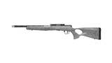 Savage B22 Timberlite Thumbhole Gray .22 WMR 18