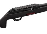 Winchester Wildcat .22 LR Semi-Auto 18