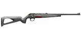 Winchester Wildcat Expert .22 LR 18