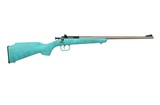 Keystone Crickett .22 LR Blue / Gold Webbing 16.1