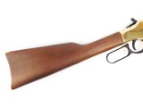 Henry Arms Golden Boy .22 Long Rifle 20