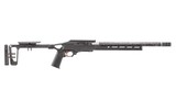 Ruger 10/22 Competition .22 LR 16.1