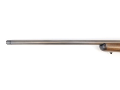 CZ-USA 600 American ST2 24