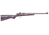 Keystone Crickett My First Rifle .22 LR 16.1