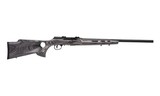 Savage Arms A22 Target Thumbhole .22 LR 22