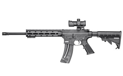 Smith & Wesson M&P15-22 Sport OR Red Dot .22 LR 16.5