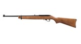 Ruger 10/22 250th Anniversary .22 LR 18.5