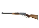 Henry H9 Provider .360 Buckhammer 20