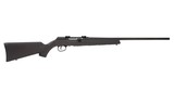 Savage Arms A17 Semi-Automatic .17 HM2 20