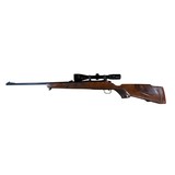 Rare Tikka M76 243WIN Made 1968 C&R - Image 2 of 15