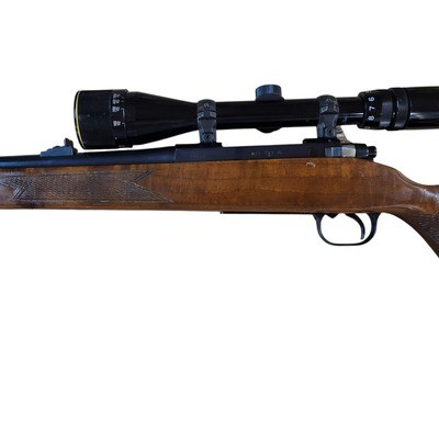 Rare Tikka M76 243WIN Made 1968 C&R - Image 4 of 15