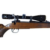 Rare Tikka M76 243WIN Made 1968 C&R - Image 8 of 15