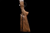 Beretta DT11 SportingB-Fast | 12 Gauge | 32