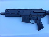 Sig Sauer Rattler 300 Blackout - 1 of 9