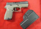 Sig Sauer P320 - 10 of 10