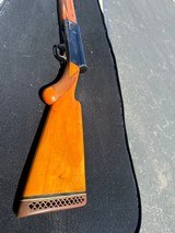1960 Belgium Browning Sweet 16 w/vent rib - 4 of 8
