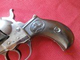 Colt 1877DA 3 1/2" Sheriffs model .38 long Colt - 3 of 8