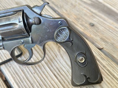 Colt 