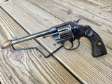 Colt 