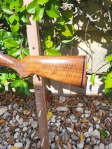 Kimber of Oregon 82 lr - 6 of 12
