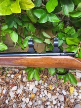 Kimber of Oregon 82 lr - 3 of 12