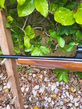 Kimber of Oregon 82 lr - 5 of 12