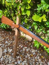 Kimber of Oregon 82 lr - 11 of 12