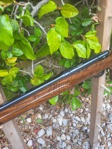 Anschutz 54.18 MSR by Canyon Creek - 13 of 15