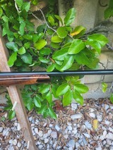 Anschutz 54.18 MSR by Canyon Creek - 5 of 15