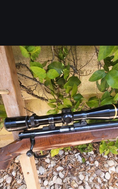LeupoldVX 3 2.5 8 36mm and or Anschutz SK rings